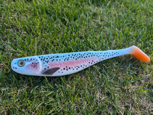 8 inch Rainbow Trout